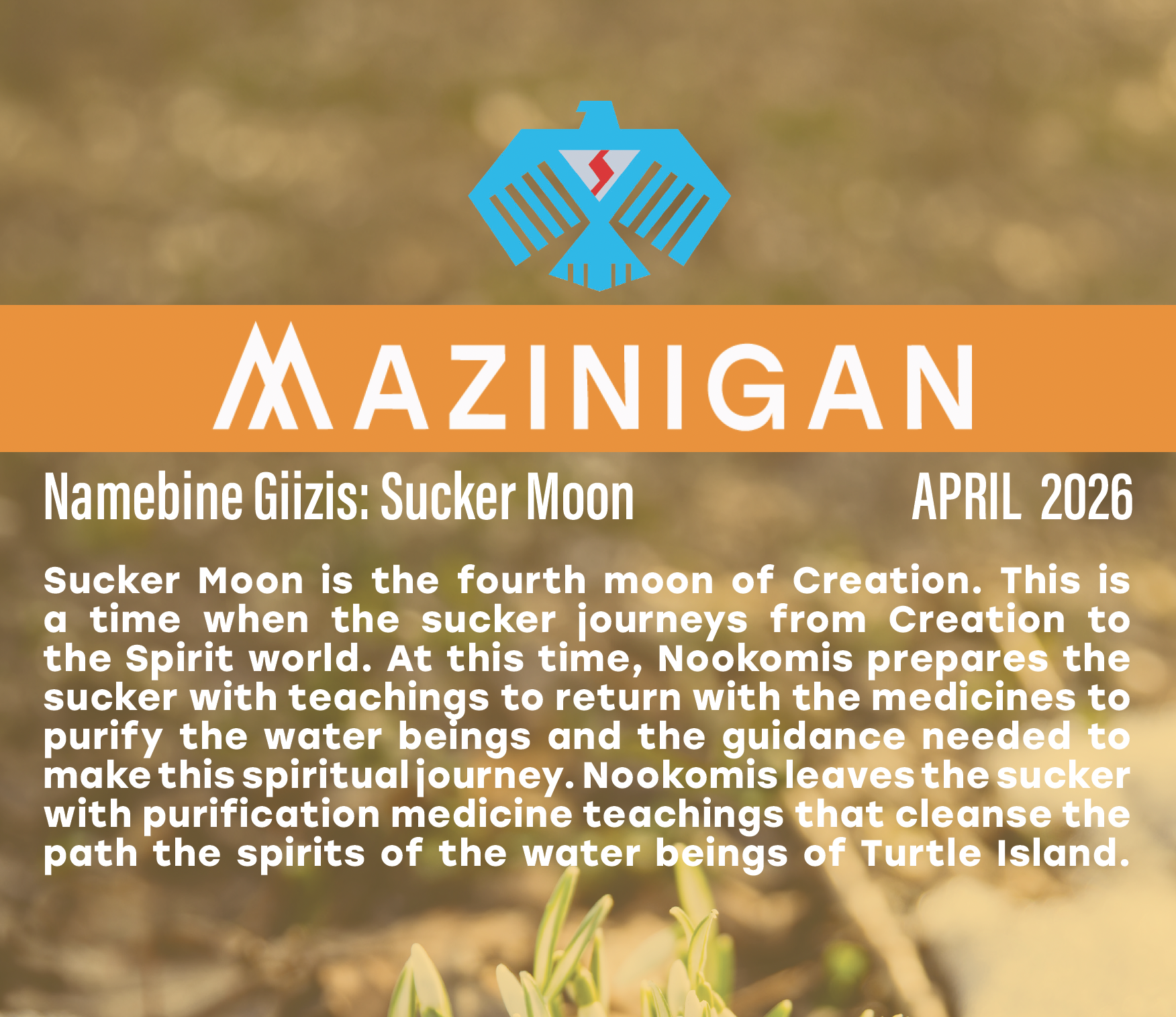 April Mazinigan 2026